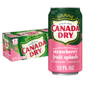 Canada Dry Caffeine Free Fruit Splash Strawberry Ginger Ale Soda Pop, 12 fl oz, 12 Pack Cans